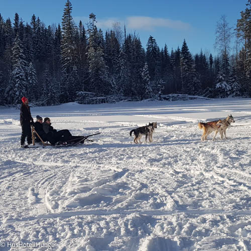 Wintervakantie Zweden