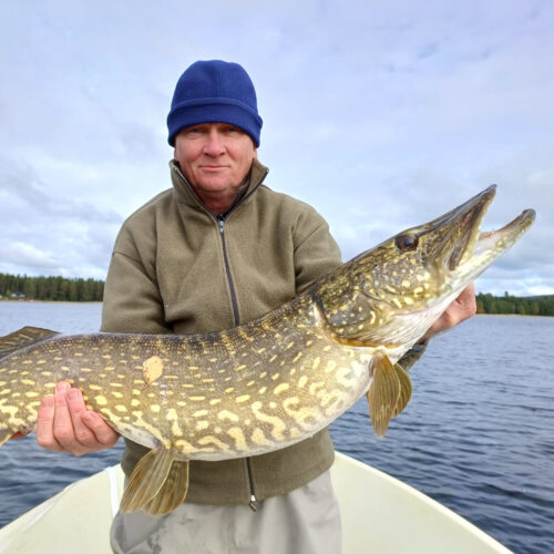 grote vangst Hunge en omgeving Jämtland Zweden