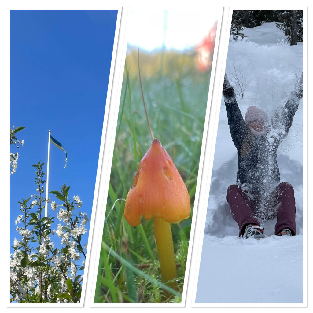 Drie seizoenen