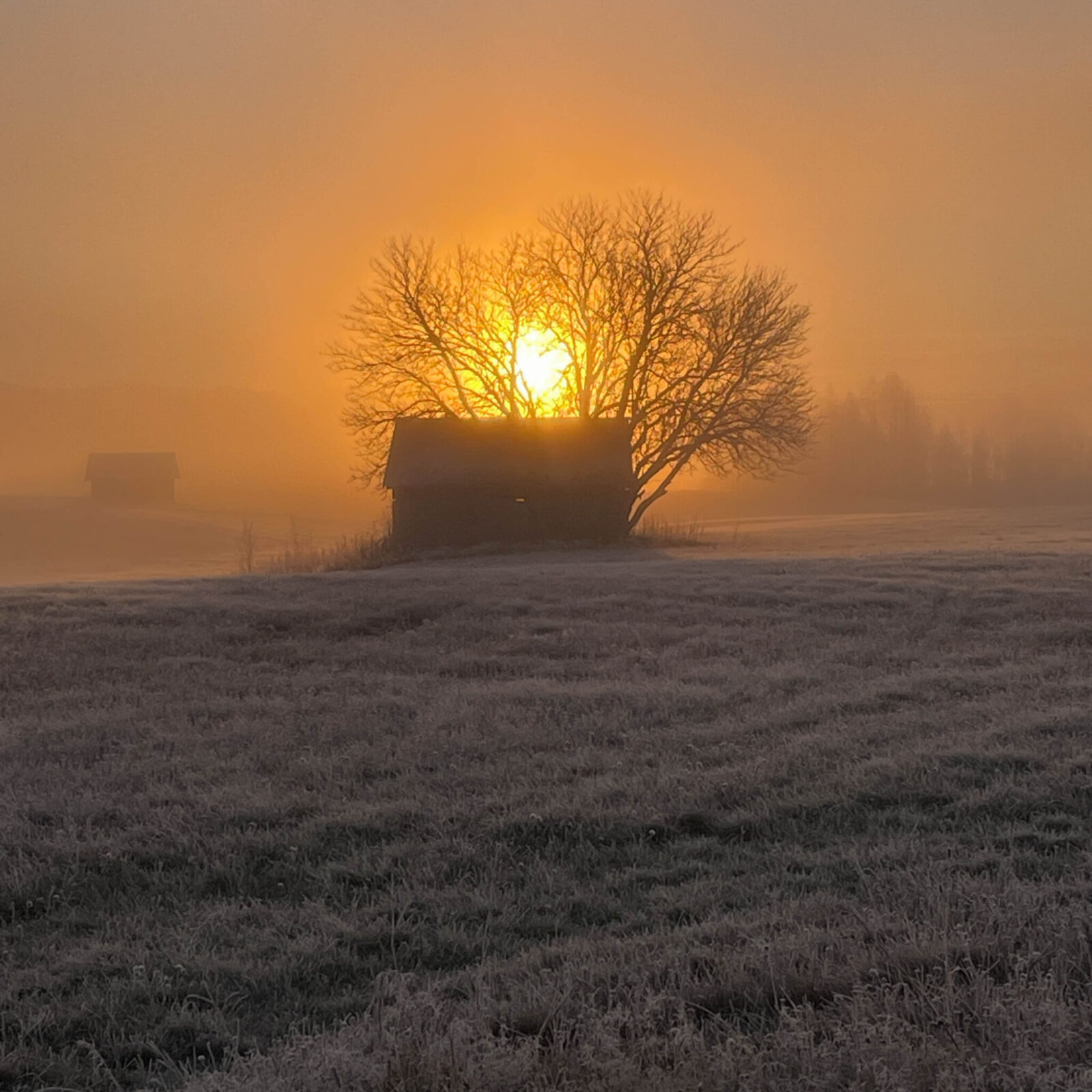 Als de zon opkomt